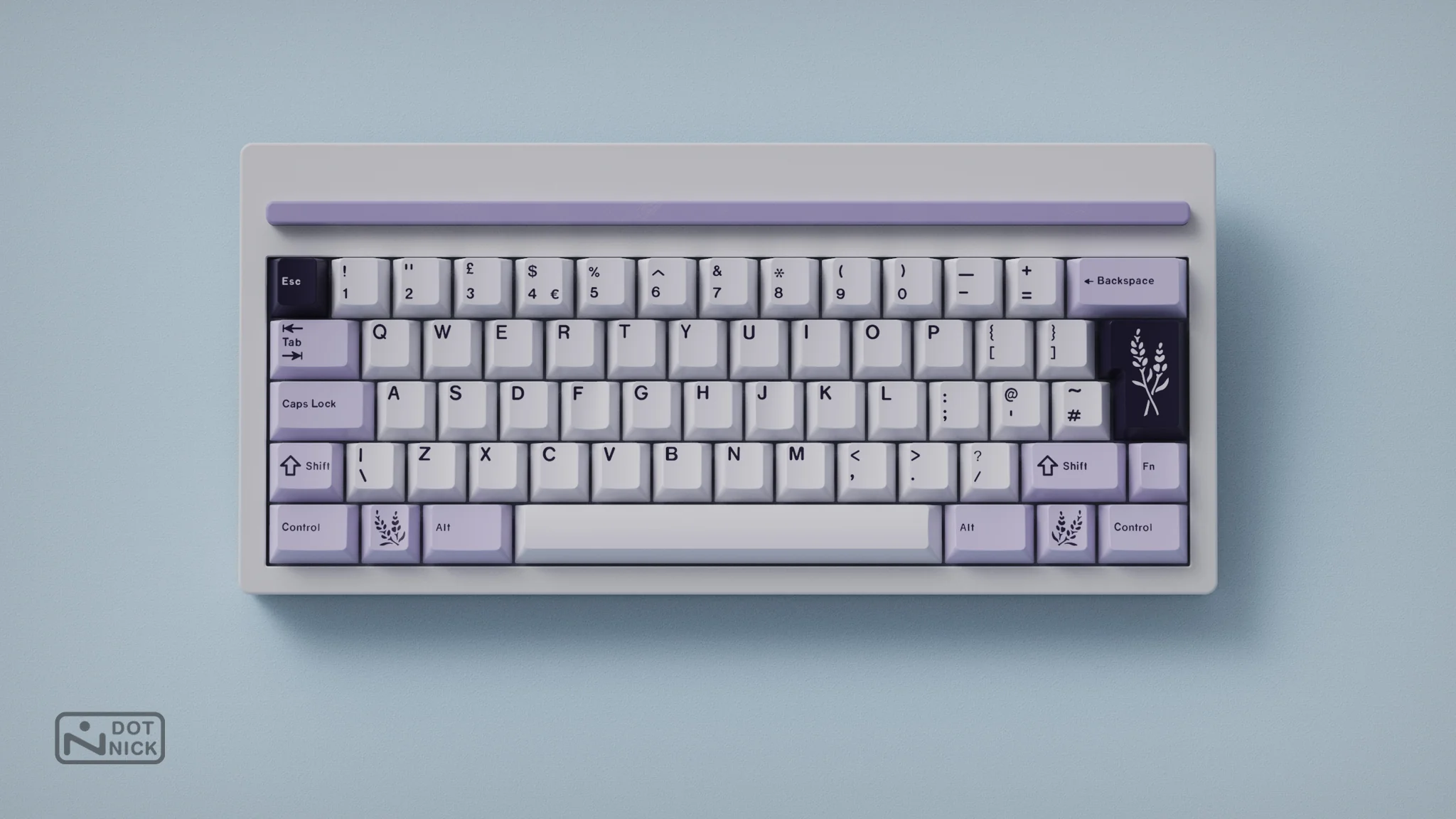 Elevate Your Typing Experience